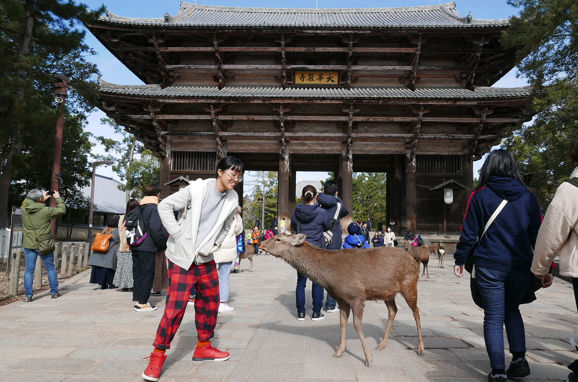 DU LỊCH NHẬT BẢN